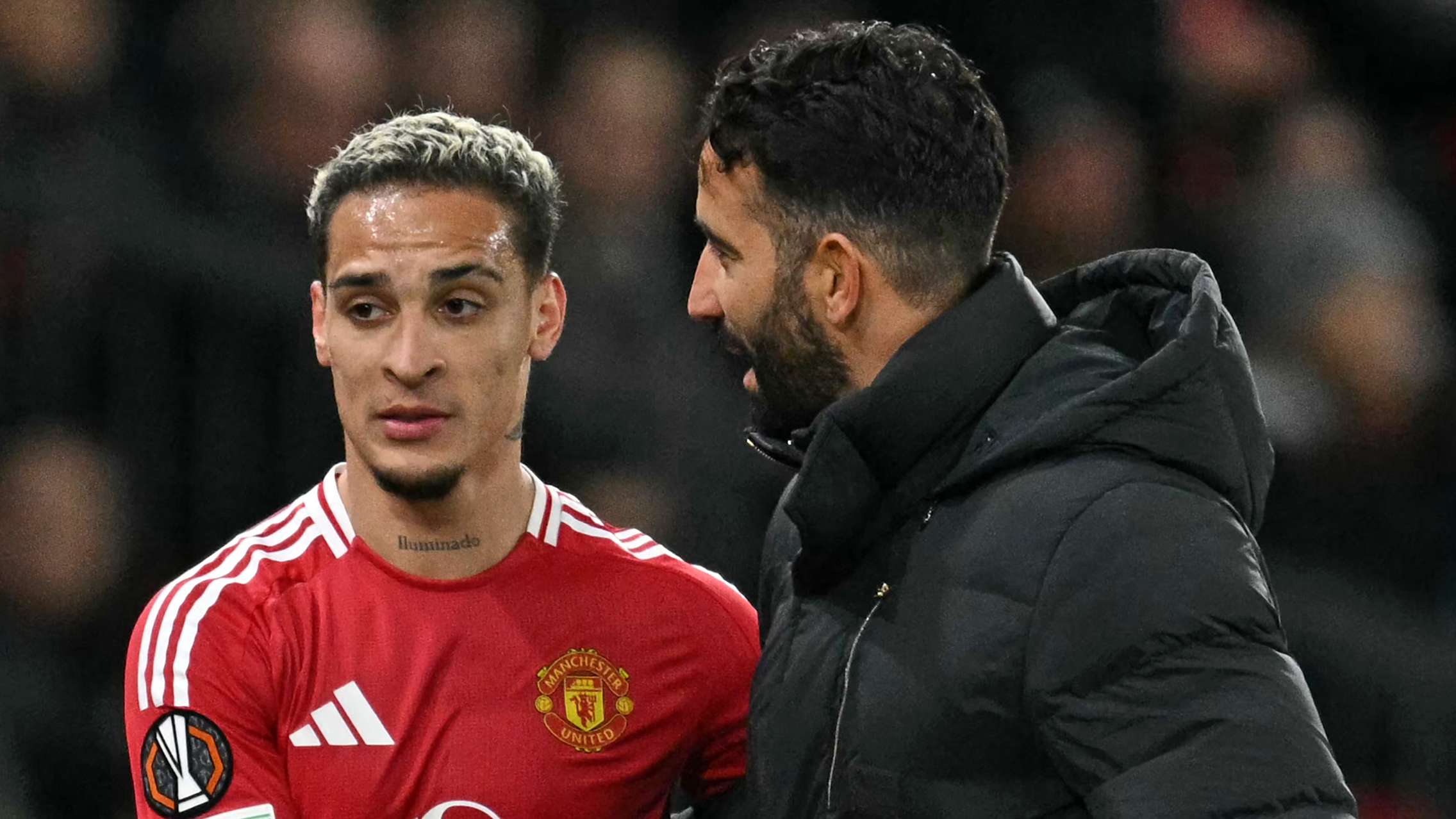 交织的结果 交织的结果